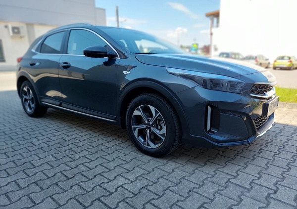 Kia XCeed cena 99900 przebieg: 18437, rok produkcji 2023 z Elbląg małe 92